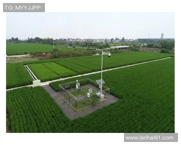 聚焦南京网球队提升速度训练的创新方法与成效分析 聚焦南京网球队提升速度训练的创新方法与成效分析