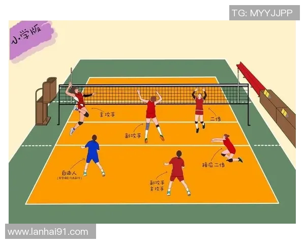 英超排球专题深度解析广州排球队的技术特点与战术运用