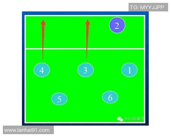 南京排球队反击战术深度剖析与技术解析之旅