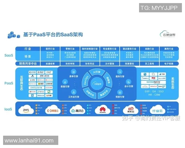 体育实时数据南京排球队的排球战术与节奏体系探讨与实践分析